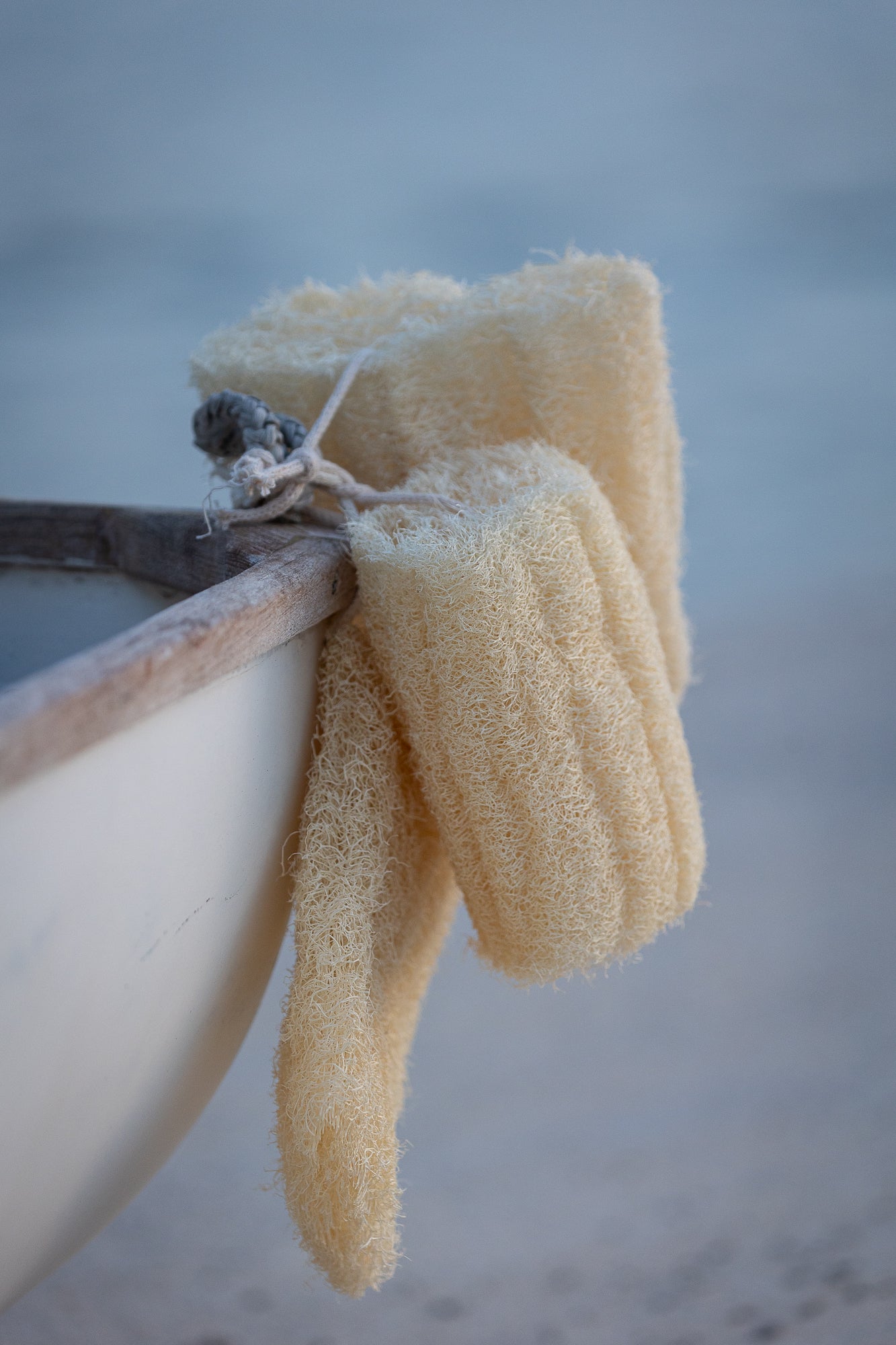 natural sea luffa