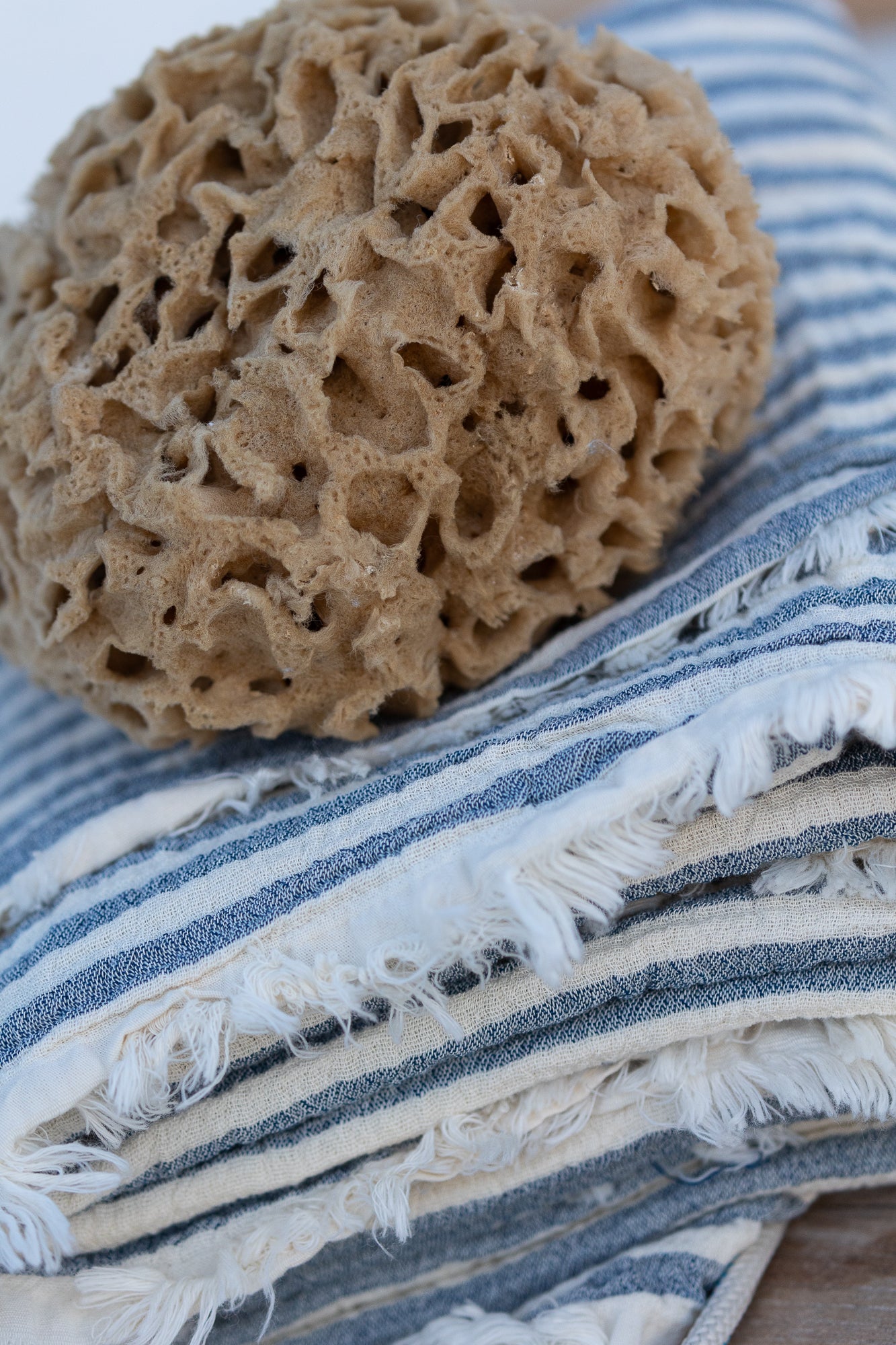 kapadika natural sponge