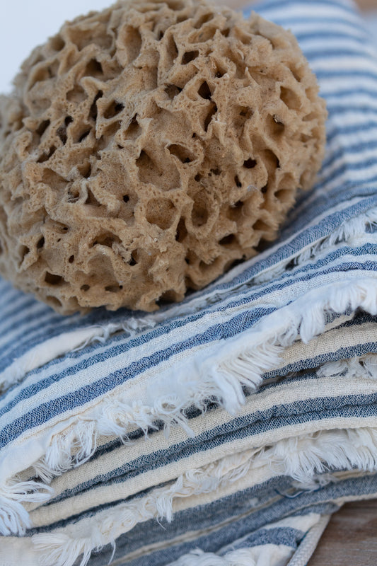 kapadika natural sponge