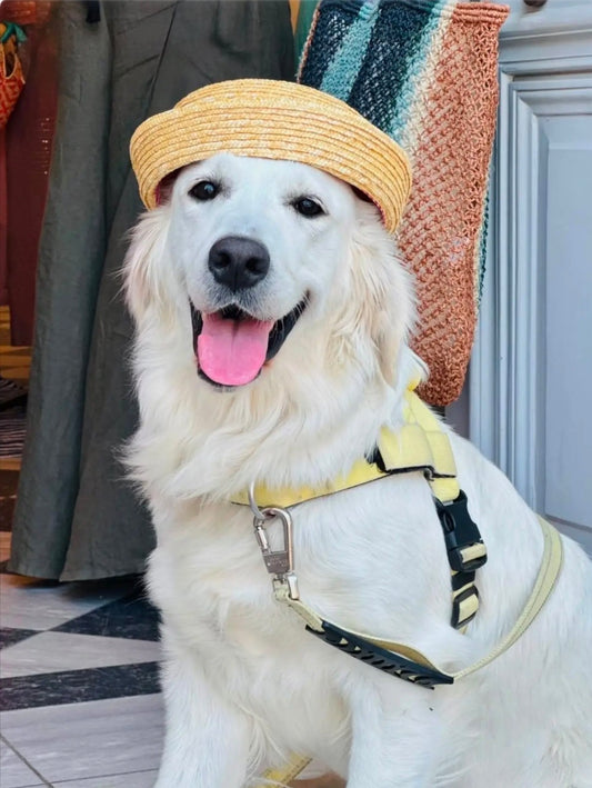 Savapile Sailor Straw Hat