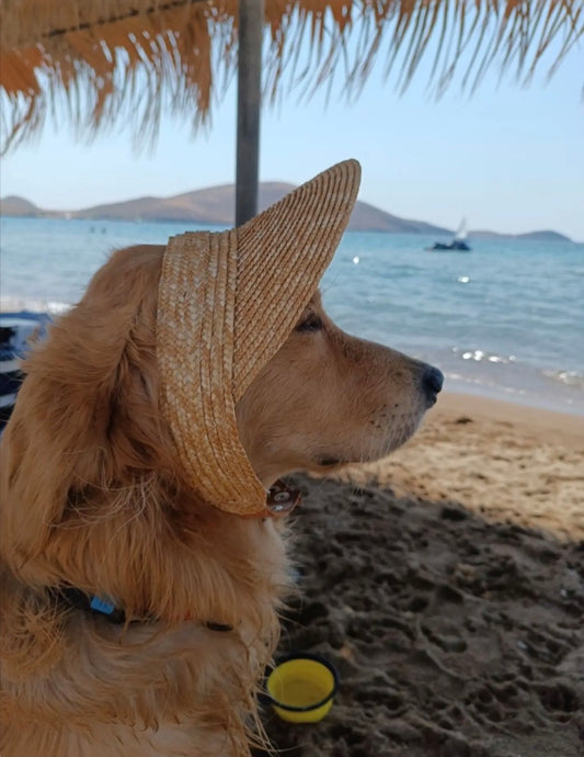 Savapile Visor made of natural straw